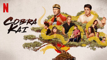 Cobra Kai: Season 3